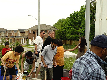 Councillor Ainslie' s Compost Day